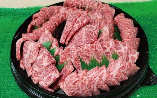 プレミアム熊野牛 焼肉 ４８０ｇ / 牛肉 肉 牛 焼き肉 和牛 牛 贈り物【kbs005】
