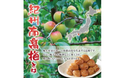 紀州南高梅　＜つぶれ梅＞うす塩2kg【ハチミツ入】塩分10%　なかやまさんちの梅干 【nky015-120k】