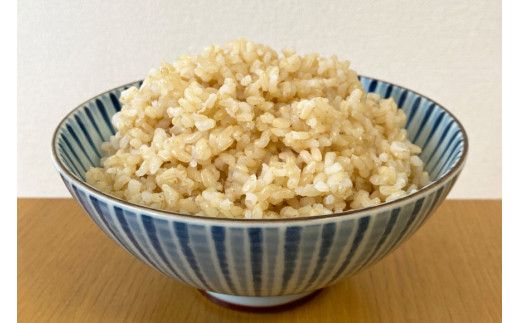 【6回定期便】 簡単に炊ける 宮城県産 ひとめぼれ 発芽玄米 計6kg(1kg×6回) [菅原商店 宮城県 加美町] 米 こめ コメ 玄米 発芽玄米 ご飯 | sg00004-r601-1kg-6