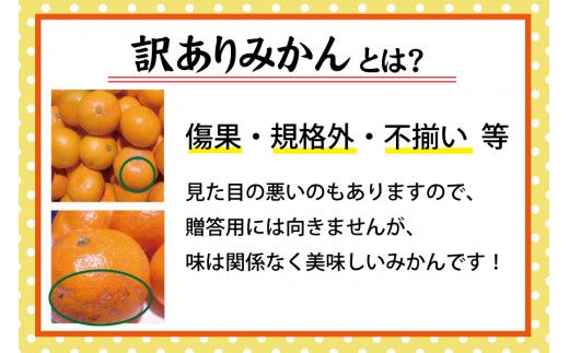 【訳あり】農家直送 有田みかん 約5kg ご家庭用 サイズ混合 ※2024年11月中旬から2025年1月中旬までに順次発送予定（お届け日指定不可) 訳ありみかん 温州みかん【nuk161】