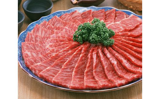 牛肉 飛騨牛 ロース肉 焼肉用 750g 牛 肉 ロース 焼き肉 赤身 飛騨 F4N-0743