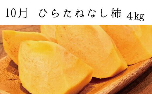 【全3回定期便】秋の味覚 果物定期便　柿・みかん　旬のフルーツを毎月お届け♪【tkb130】