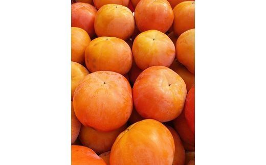 【ご家庭用わけあり】和歌山秋の味覚　富有柿　約7.5kg / 果物 フルーツ 柿 旬 人気 先行予約【uot719A】