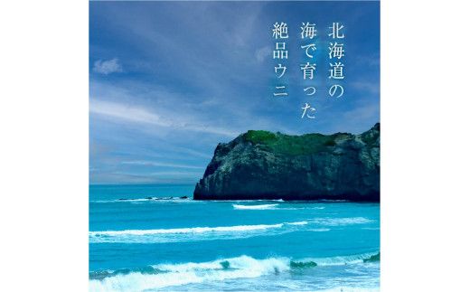 【ふるさと納税】≪贈り物≫幸雲丹80g(ムラサキ 北海道産)ウニ うに 雲丹【余市のうに】ギフト プレゼント 北海道 ムラサキウニ 白うに 白雲丹 冷凍ウニ 冷凍うに 世壱屋_Y038-0116