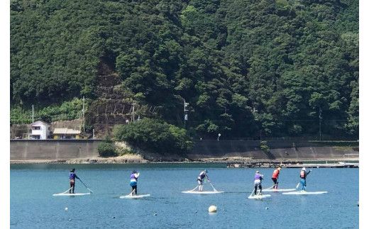 森浦湾SUP体験（大人） 中学生以上対象のSUP（スタンドアップパドルボード）体験 1時間コース / アクティビティ レジャー 体験チケット 観光【tgk107】