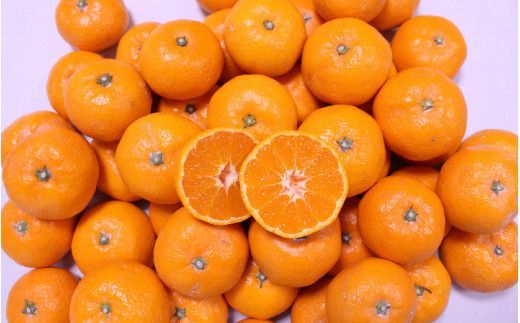 ＼ みかんの名産地 和歌山県産／ 農家直送 大玉 有田みかん 5kg （2L～3L） ひとつひとつ手選別で厳選【2025年11月下旬～1月中旬ごろに順次発送予定】 |【hdm001-1A】