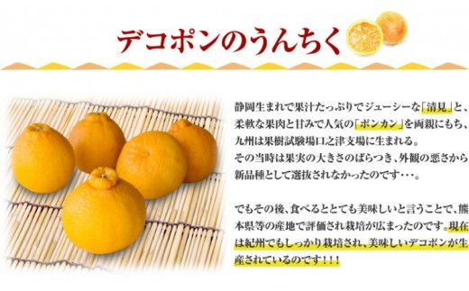 デコ不知火（デコポン） 約2.8kg/サイズおまかせ　※2026年2月上旬～2026年4月上旬頃に順次発送予定(お届け日指定不可)　紀伊国屋文左衛門本舗　【ntbt421C】