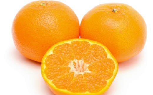 【厳選・濃厚】 紀州 有田 産の はるみ 4kg サイズおまかせ ※1月下旬頃〜2月中旬頃順次発送 / 果物 フルーツ 柑橘 みかん 和歌山 【tec820B】