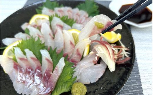 ＼数量限定／ クロムツの煮付用＋刺身用セット 【冷蔵便】 くろむつ 黒睦 ムツ 煮つけ 煮付 煮付け 刺身 お刺身 国産 太地町【tgk110】