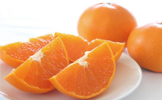 和歌山有田の濃厚せとか　約4～5kg(ご家庭用)　※2027年2月中旬～3月中旬頃に順次発送予定【ard008A】