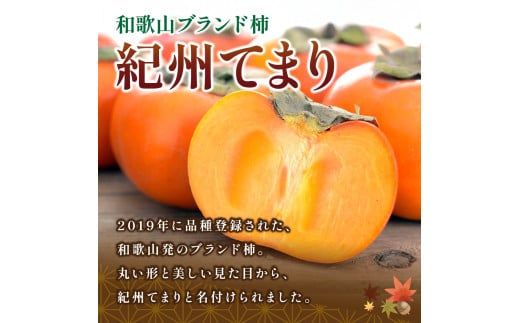 紀州てまり（和歌山県ブランド柿）6～7個入 こだわり農家厳選 先行予約 【2026年10月初旬頃から11月中旬頃順次発送】 / 柿 フルーツ 果物 かき 和歌山 かつらぎ 農家直送 贈答【kgr029】