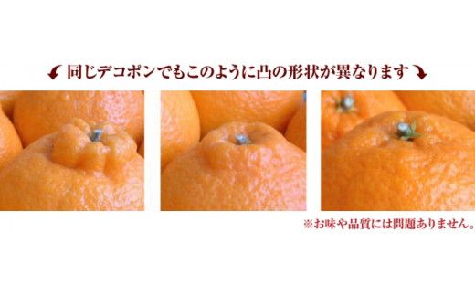 田村産「デコ」不知火[約3kg]湯浅町田村産春みかん(果実サイズおまかせ)/紀伊国屋文左衛門本舗　※2026年2月中旬～2026年3月下旬頃に順次発送予定(お届け日指定不可)【sgtb493A】