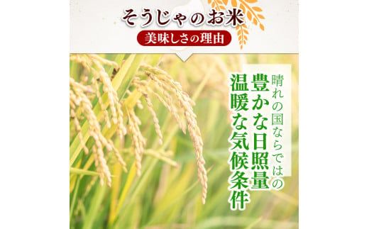 【令和7年産米】3種食べ比べ【精白米】15kg 岡山県総社市〔令和7年11月配送〕25-024-001