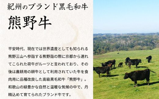 熊野牛A4以上ヒレシャトーブリアンステーキ200g(100g×2枚)＆霜降り赤身こま切れ300g【uot745】