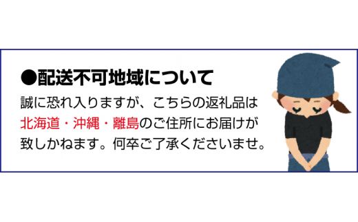 ＜1月より発送＞厳選 はっさく7kg+210g（傷み補償分）【八朔みかん】【ikd185】