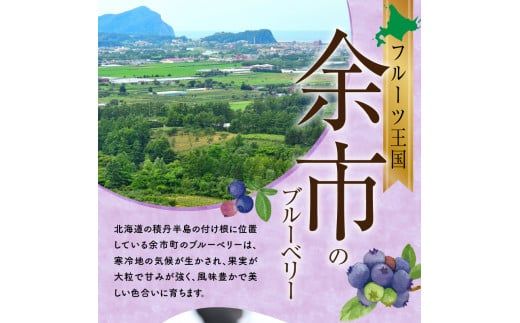 【先行予約：2026年8月上旬以降発送】フルーツ王国余市産 生ブルーベリー 1Kg【ニトリ観光果樹園】_Y074-0160
