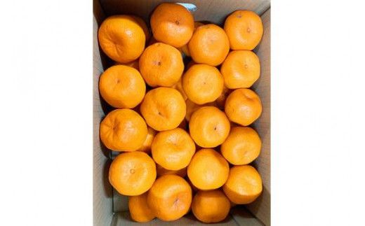 紀州和歌山有田産ポンカン　5㎏	※2026年2月上旬頃～2026年2月下旬頃に順次発送（お届け日指定不可）【uot722】