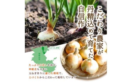 和歌山県産新玉ねぎ約10kg　Lサイズ 約25個入り　こだわり農家厳選！【2026年4月末頃～6月中旬に発送予定】【kgr033】