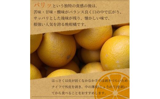 紀州和歌山産 八朔（はっさく） 約10kg ※2025年2月上旬頃〜下旬頃に順次発送 ※日付指定不可 八朔 はっさく 柑橘 果物 くだもの フルーツ