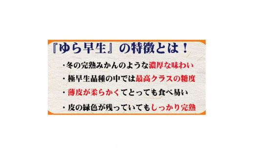 濃厚な味わい ご家庭用 ゆら早生みかん　約4kg　サイズ混合【10月上旬より発送】希少品種《有機質肥料100％》※2026年10月～11月に順次発送予定【nuk162B】