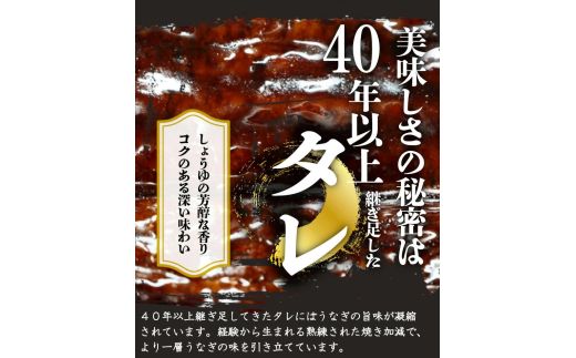 【毎月定期便】魚鶴お楽しみ海鮮4種セット(銀鮭切身・うなぎ蒲焼・銀だら切身・塩さばフィレ)全4回    / 銀鱈 さけ サバ だし うなぎ たら 魚 切り身 切身 魚 海鮮 焼き魚【tkb419】