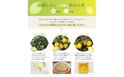 はぎファームのマイヤーレモン 5kg 【2025年10月～2026年1月下旬の期間で順次発送】 / レモン 国産 マイヤーレモン 数量限定 【hgf002A】