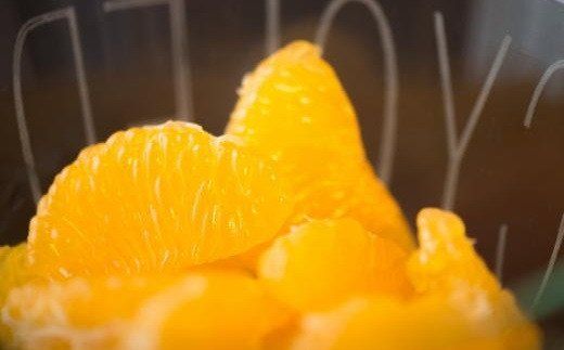 【手選果】有田産の八朔10kg（Lまたは2Lサイズいずれかお届け）＜2027年1月下旬～2027年2月下旬頃次発送＞ [tec846A]