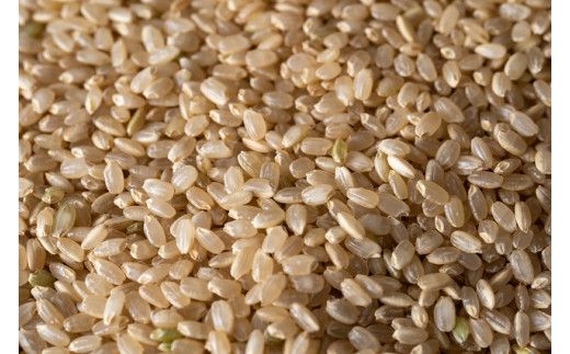 令和8年産　新米　仁淀ブルーの恵み「おち米」（玄米）30kg