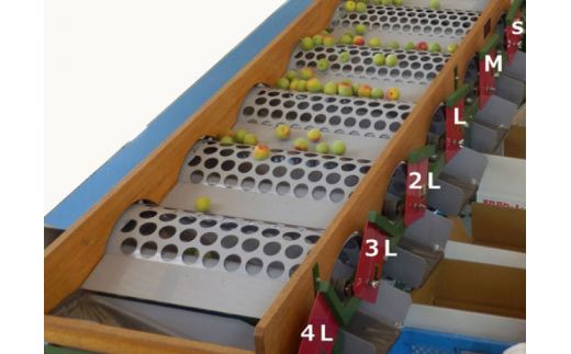 【梅干・梅酒用】（4Lまたは3L－2Kg）熟南高梅＜2026年6月上旬～7月上旬ごろに順次発送予定＞ 【art006B】