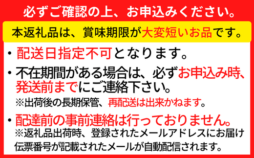 【柴山産 活セコガニ 6匹 1匹約120g】11月中旬以降配送予定 ふるさと納税 兵庫県 香美町 香住 柴山 カニ 松葉ガニ せいこがに メスガニ 親ガニ ヤマヨシ 27000円 37-01