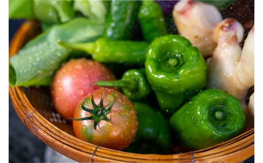 越知産市の季節の野菜ミニセット　産地直送　旬野菜