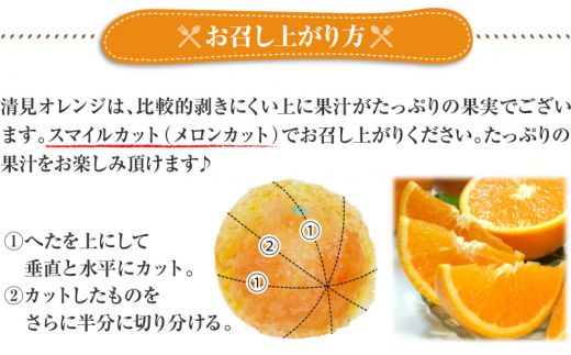 清見オレンジ約8kg / 果実サイズおまかせ ※2025年2月中旬～2025年4月下旬頃発送予定 / 紀伊国屋文左衛門本舗【sgtb401B】