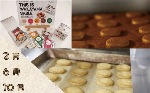 定期便 【新宮市】スイーツセット　4回 / ケーキ マイヤーレモン レモン 焼菓子 和菓子 サブレ まんじゅう 饅頭 ミルク みかん ご当地【tkb137】