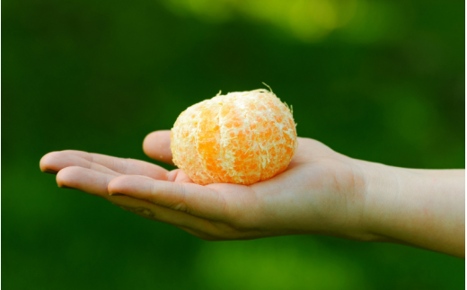 【先行予約】秀品 ポンカン 5kg 【S~2Lのサイズおまかせ】【2026年1月下旬から2月中旬頃に順次発送】＜味好農園＞/ ぽんかん 蜜柑 みかん 柑橘 果物 フルーツ 【agy009B】