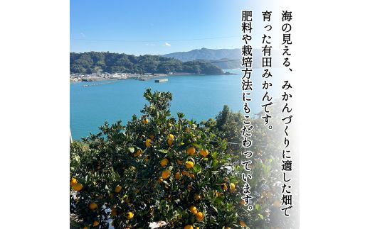 【12月発送】  家庭用 有田みかん 和歌山 訳あり わけあり S～Lサイズ 大きさお任せ 2kg  / みかん フルーツ 果物 くだもの 有田みかん 蜜柑 柑橘【ktn005A-12】