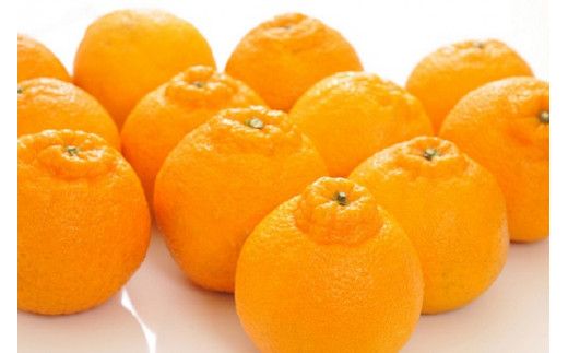 【大人気】和歌山有田の濃厚デコポン　15～24玉(約5kg)　※2027年1月下旬～3月下旬頃順次発送【ard005C】