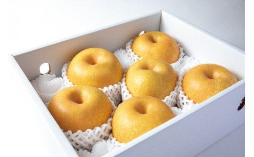 【先行予約受付】 和歌山県産の美味しい梨 約2kg （6〜8玉入り） ※2026年8月中旬頃から9月中旬頃発送予定【mat103B】