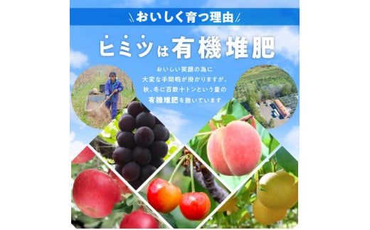 【2024年9月中旬以降発送】フルーツ王国余市産「ナイアガラ」2kg_Y074-0104