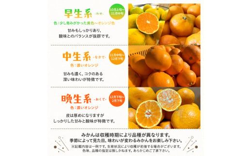 【12月発送】有田育ちのご家庭用完熟 有田みかん 10kg＋200g （傷み補償分）【ard197D-12】