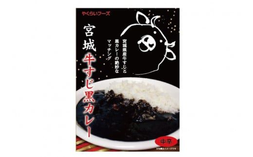 カレー 宮城 牛すじ 黒カレー 1人前(200g) [やくらいフーズ 宮城県 加美町 44581326] 牛すじカレー ブラックカレー レトルト 簡単