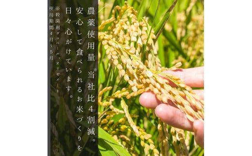 【定期便全6回】【順次発送中】◇令和6年産◇木露ファーム 余市産 ゆめぴりか（玄米）5kg_Y067-0178