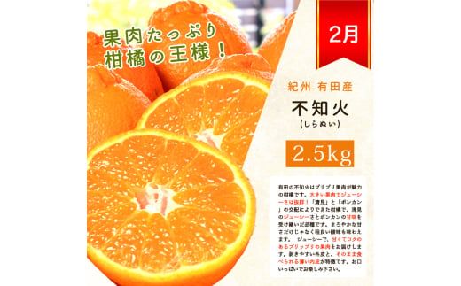 【4か月定期便】旬の柑橘定期便 / みかん ミカン 柑橘 オレンジ 果物 くだもの フルーツ フルーツ定期便 和歌山【tkb416】