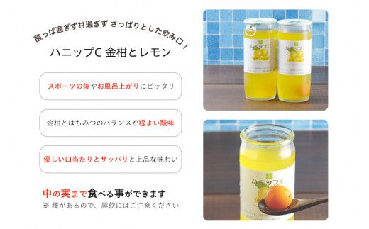 果実入り清涼飲料水　ハニップＣ 2種類セット（30本）【prm001】