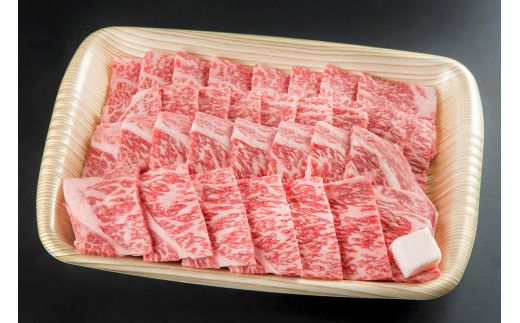 牛肉 飛騨牛 ロース肉 焼肉用 750g 牛 肉 ロース 焼き肉 赤身 飛騨 F4N-0743