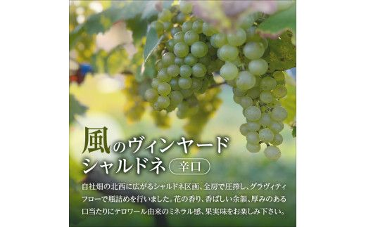 【2025年4月以降発送】シャルドネ2023 映画「美晴に傘を」特別限定版_Y090-0023