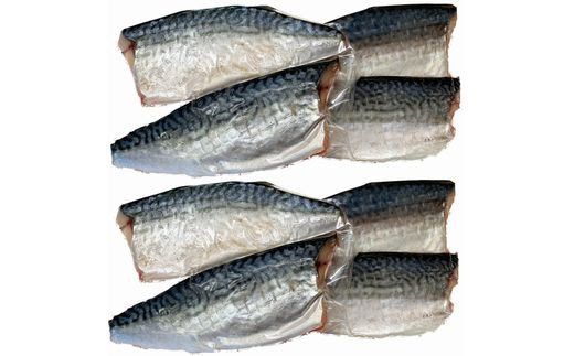 塩さばフィレ14枚入（真空パック入）  【uot403B-1】