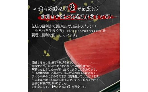 那智勝浦直送！天然生まぐろ 冊 500g / マグロ 鮪  まぐろ メバチ キハダ 魚 海鮮 刺身 柵 さく【uot806】