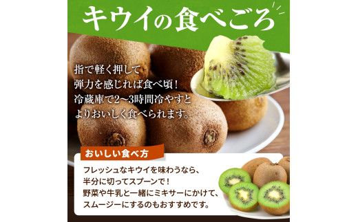 【先行予約】 先行予約！和歌山県産 秀品 キウイフルーツ 大玉15個入 こだわり農家厳選  【2025年12月初旬頃から2026年1月中旬頃順次発送】/ キウイ キウイフルーツ 果物 フルーツ おやつ