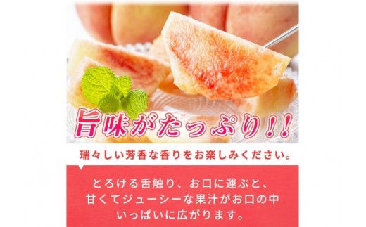 紀州和歌山産の桃　１５玉　化粧箱入 ※2025年6月下旬～2025年8月上旬頃順次発送（お届け日指定不可） 【uot780A】