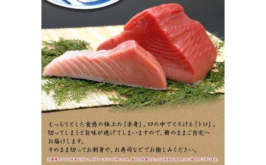 本マグロ（養殖）トロ＆赤身セット 3kg 【１ヶ月以内に順次発送)】/ 高級 クロマグロ  中トロ 中とろ まぐろ マグロ 鮪 刺身 赤身 柵 じゃばらまぐろ 本マグロ 本鮪【nks112B】